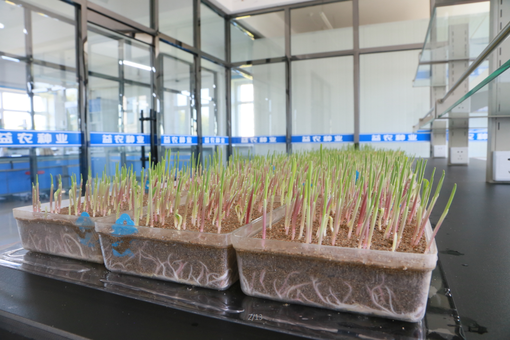 1545875917907030.png image.png