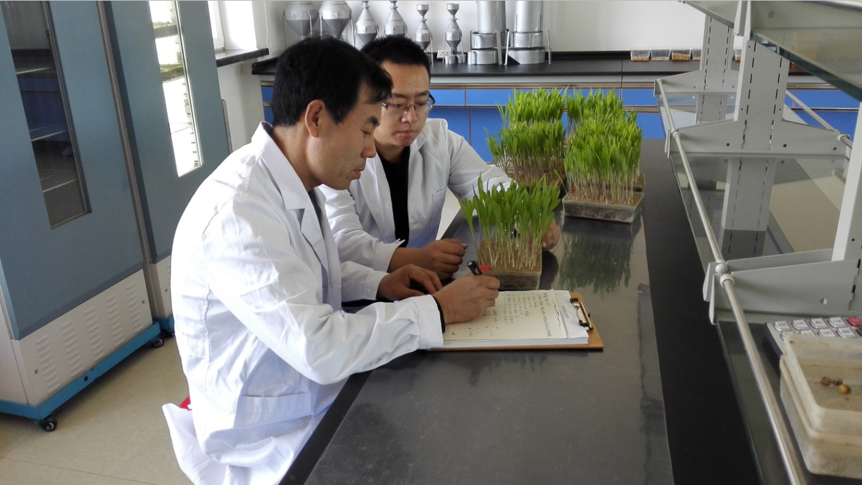 1545876026544418.png image.png