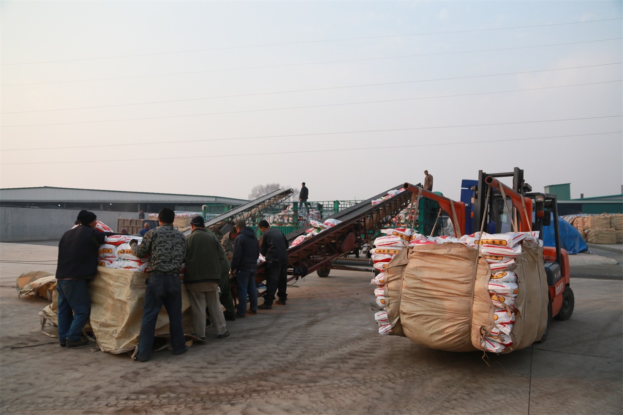 1546565915193304.jpg IMG_5740.JPG