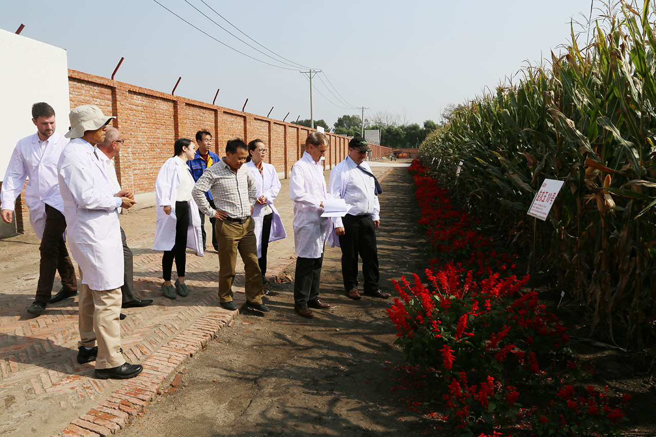 1546567878527059.jpg IMG_7009.JPG