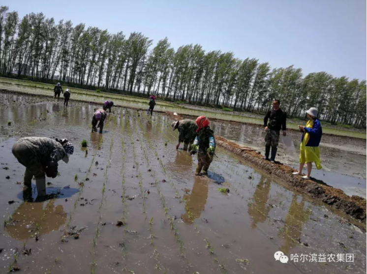 1546659692921025.png image.png