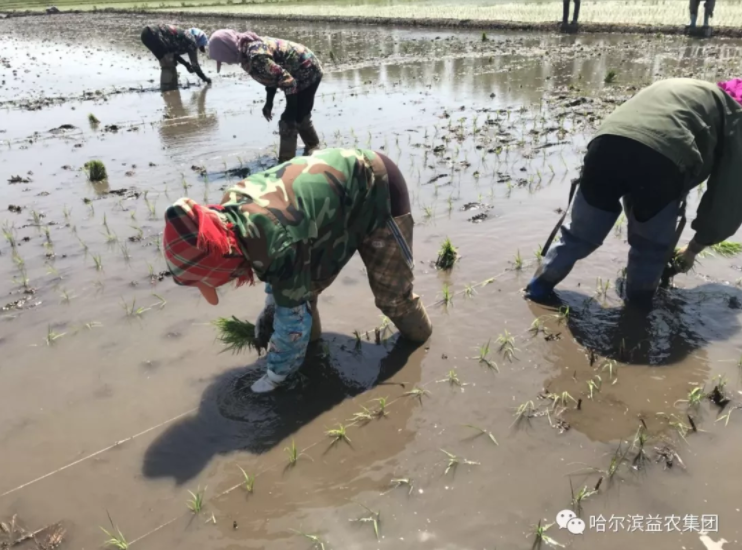 1546659722699586.png image.png