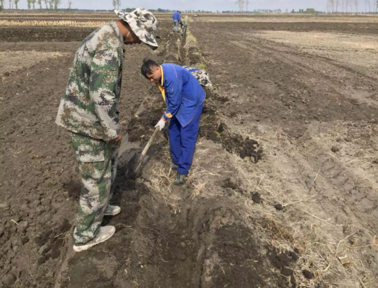 1546659799754775.png image.png