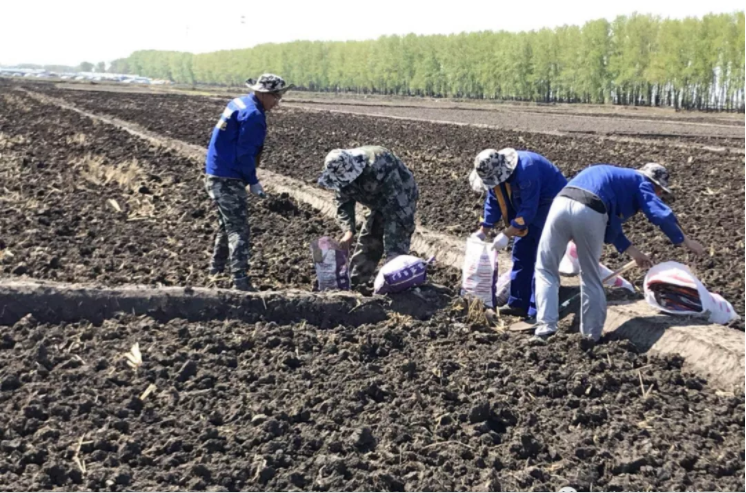 1546659817123879.png image.png