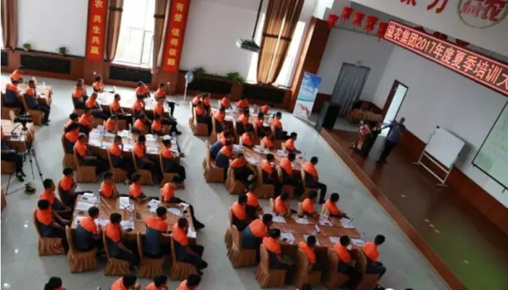 1547696667715167.png image.png