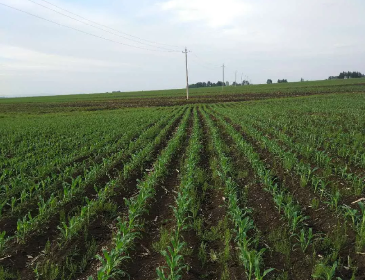 1547698365738548.png image.png