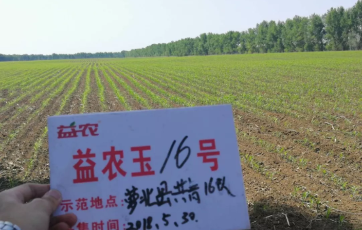 1547698375610640.png image.png