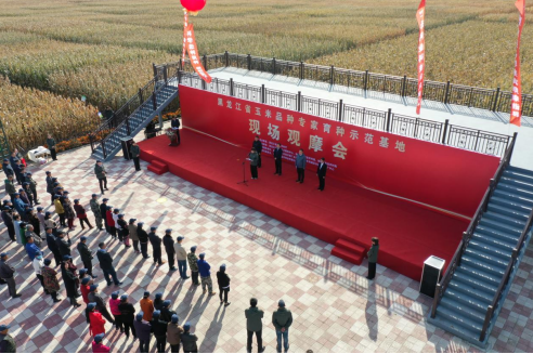 1696827862745321.png image.png